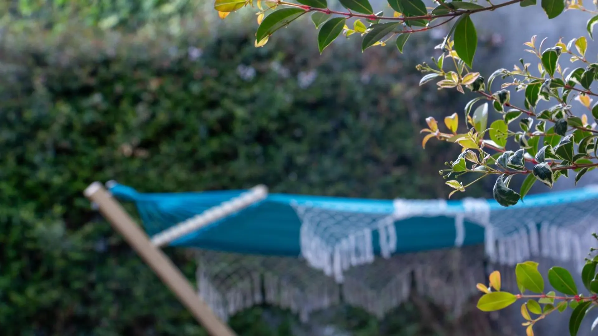 The Jolie - A Retreat In The City Funchal  Funchal (Madeira)